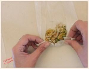 Chiusura involtino primavera