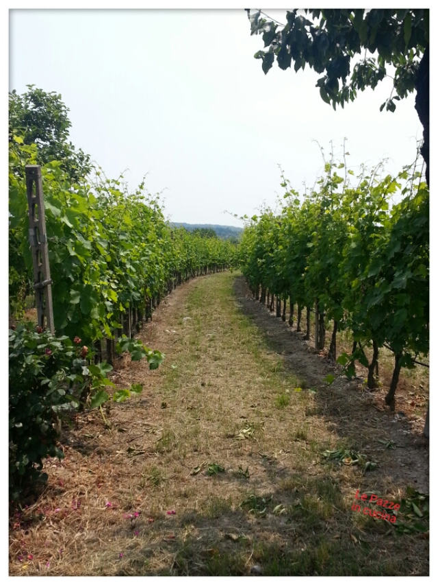 lepazzeincucina.vagabonde